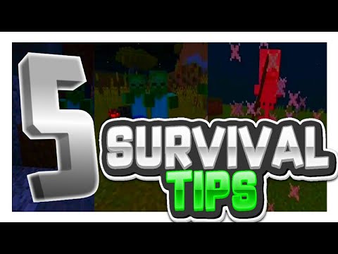 First Day of Survival Tips! [Minecraft]