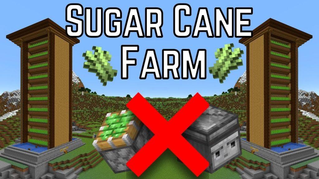 Minecraft Tutorial | Sugarcane Farm 1.18 & 1.19 + | Fully Automatic