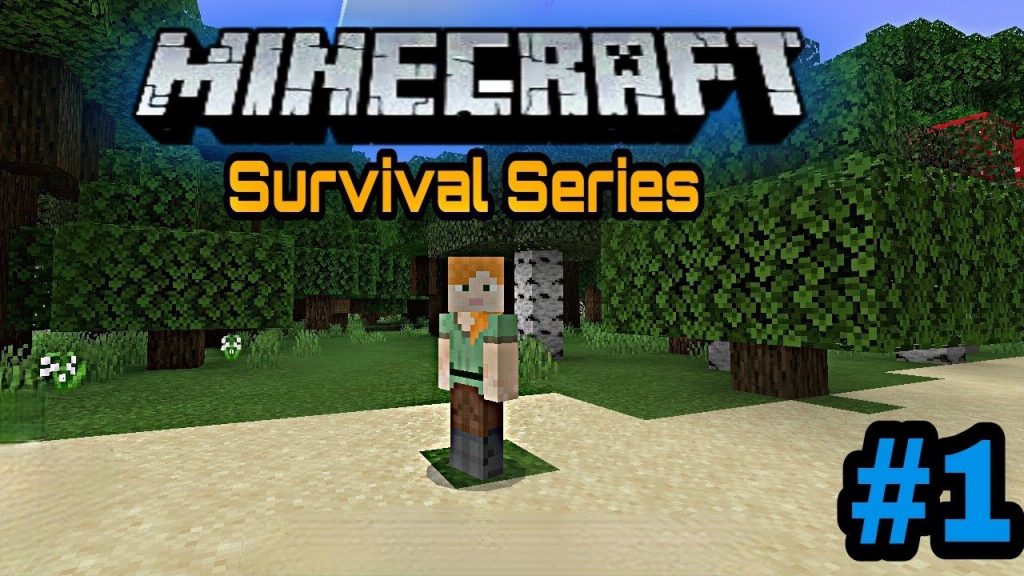 Minecraft Survival Gameplay - Minecraft Gameplay in Hindi #1