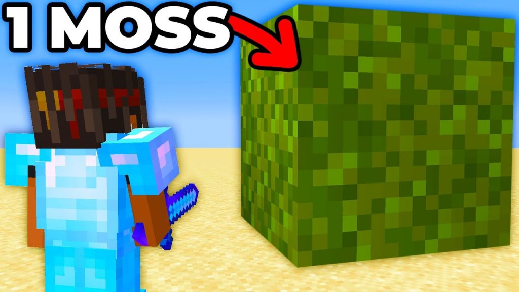1 Moss Block VS Minecraft SMP...