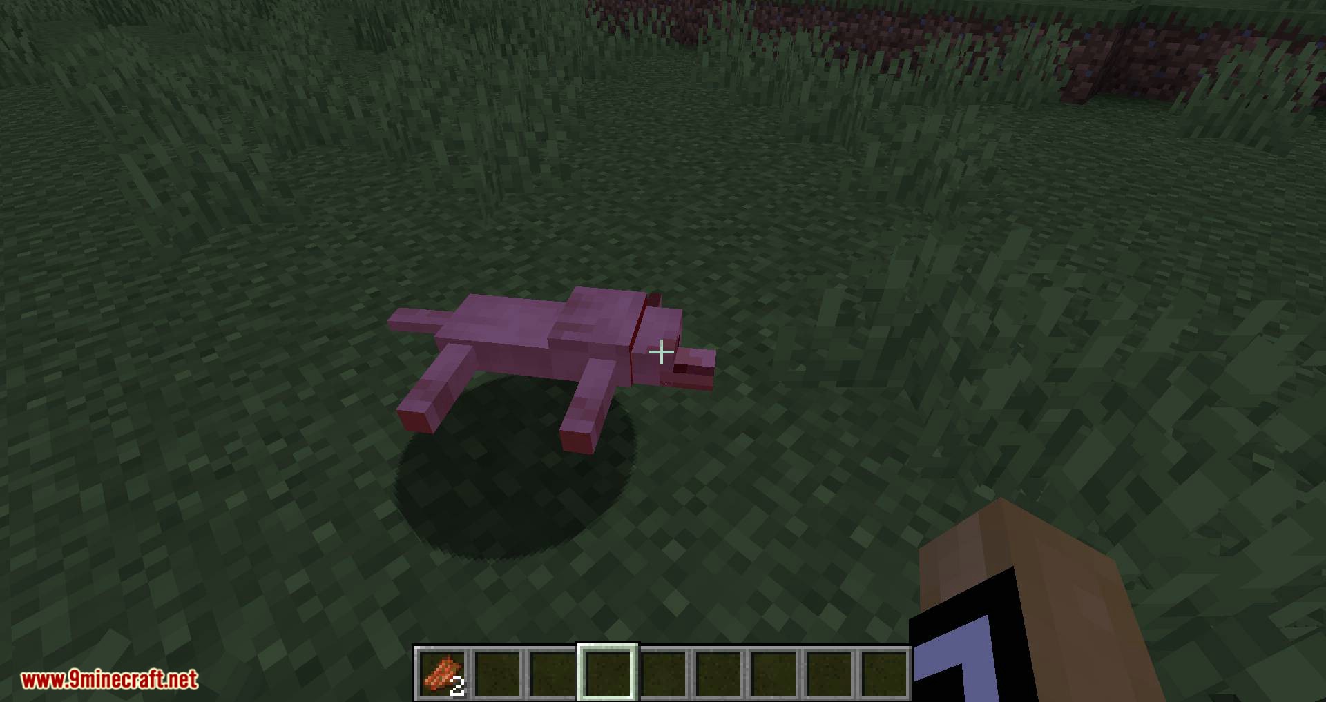 Save your pets mod for minecraft 03