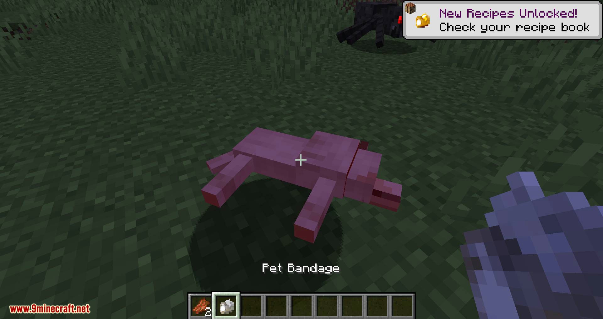Save your pets mod for minecraft 06