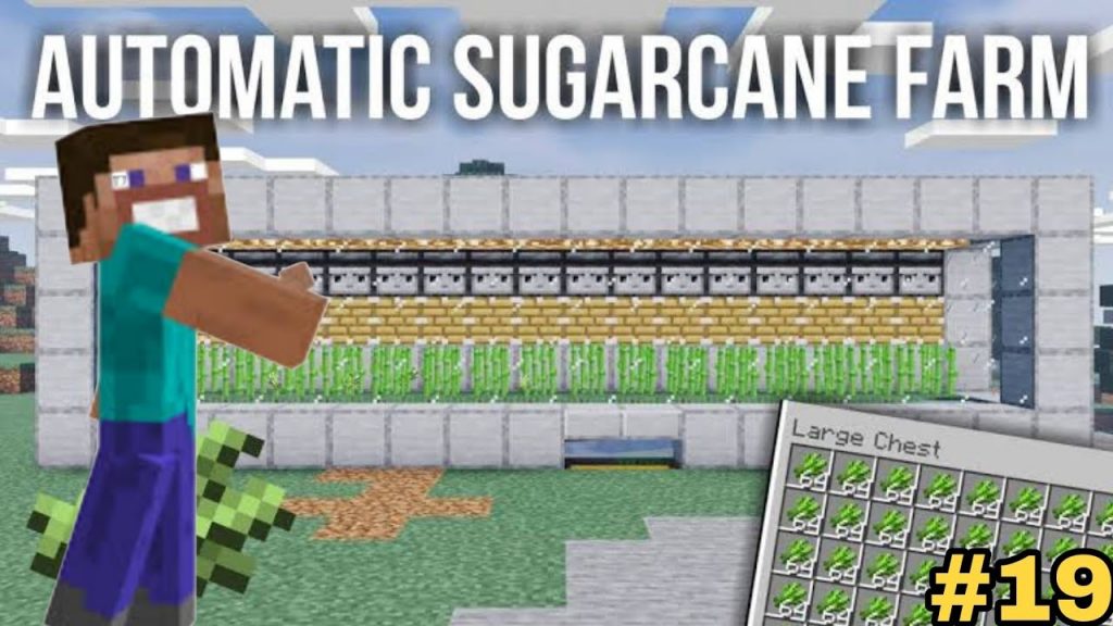 I MADE AUTOMATIC GIANT SUGARCANE FARM | Minecraft Survival Episode #19
