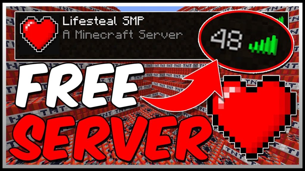 Free LIFESTEAL SMP!