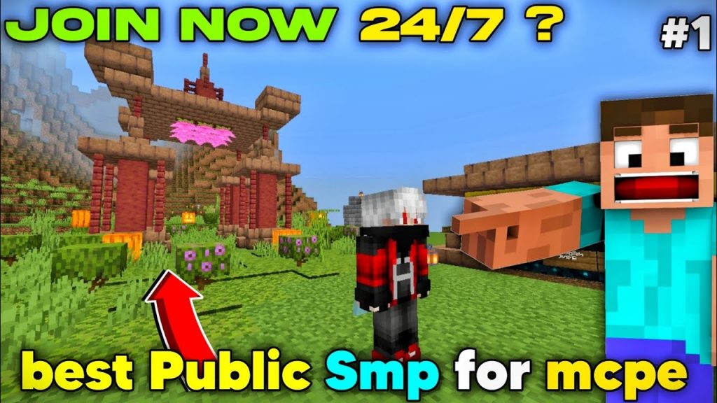 New Public Smp For Minecraft pe | Java+Bedrock 24/7 Public smp | How to public smp join now server