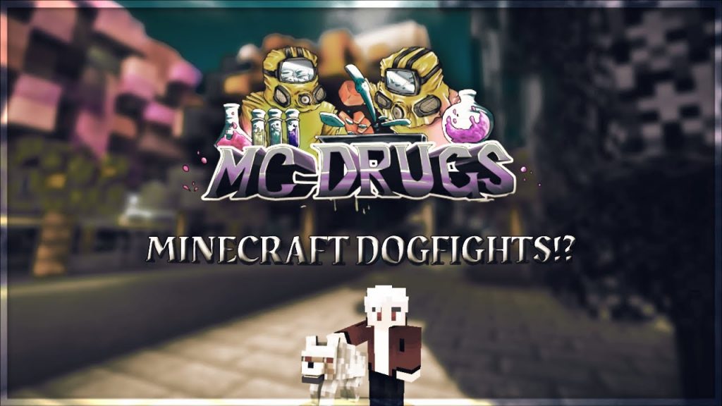 MINECRAFT DOGFIGHTS!? | Minecraft Factions | MCDrugs
