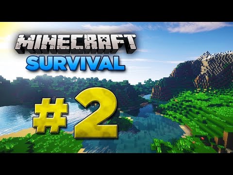 Finally I Made My Home || Minecraft survival series || Minecraft survival series 1.19 ||