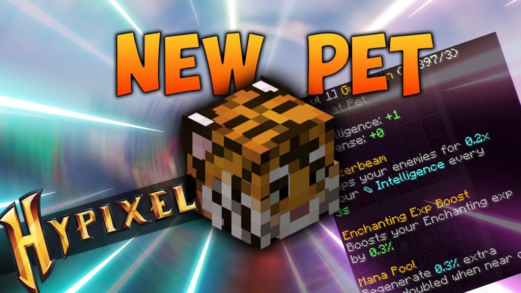 First Pet In Minecraft Hypixel Skyblock #2