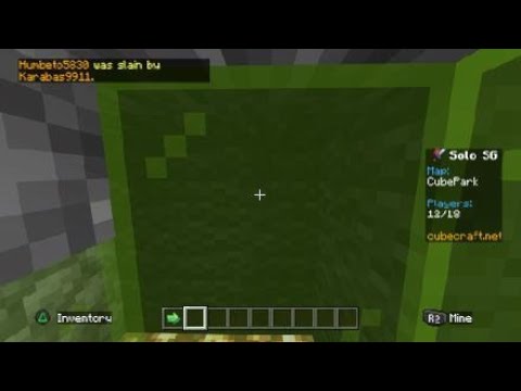 THE HUNGER GAMES in minecraft