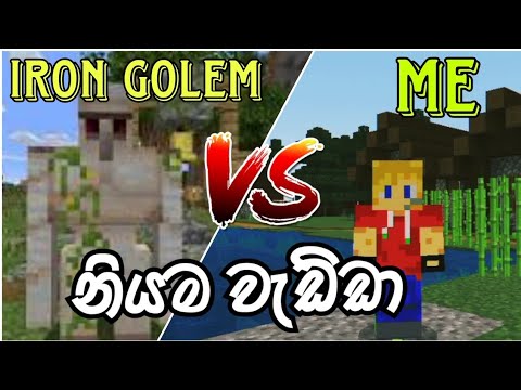 How Kill a Iron Golem | Minecraft Survive Serious Ep 06 | Mr.Chandiya