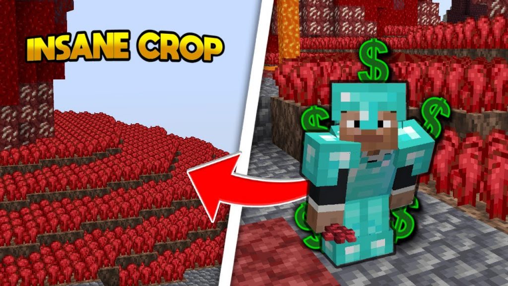 INSANE CROP MAKES ME THE RICHEST ON THE SERVER! | Minecraft Skyblock (PvPWars)