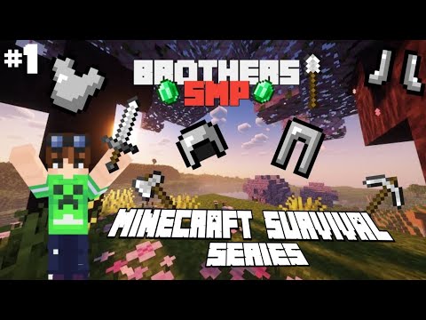 Minecraft Survival Series ep 1 l making Iron armor & tools l Brothers Smp l #minecraft  #gaming #1