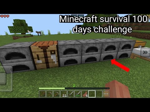 Minecraft survival 100 days challenge day 1