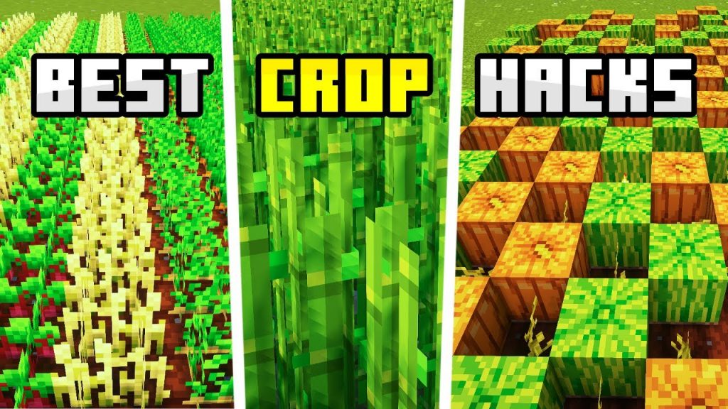 MUST KNOW Crop Hacks For Farming | Minecraft Bedrock Tutorials