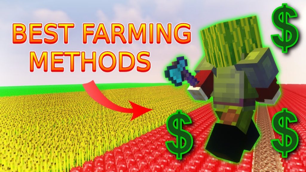 BEST Crops for Money and Experience | Hypixel Skyblock