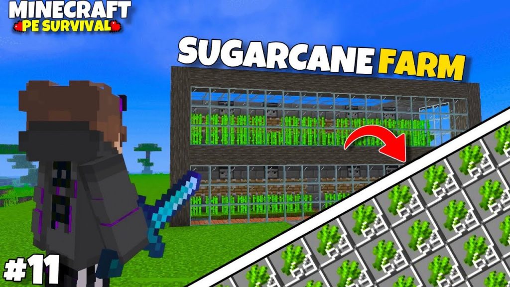 I Make Easiest Automatic Sugarcane Farm in My Survival World || Minecraft PE Ep- 11
