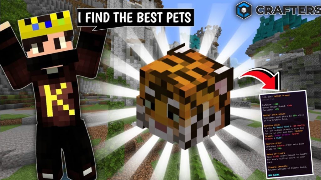 BEST PETS TO USE IN CRAFTERSMC SKYBLOCK AND NEW UPCOMING UPDATES #craftersmc #hypixel #hypixel