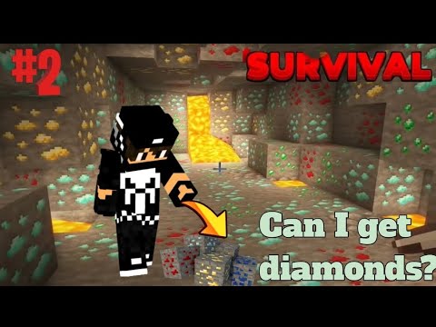 Can I get DIAMONDS? || Minecraft Survival Series Part-2 @Notsumityt53