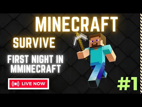 Minecraft || Survive first night in Minecraft || #1