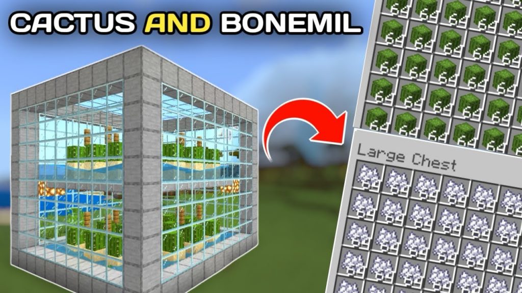 Minecraft: The Fastest Automatic Cactus And Bonemeal Farm Bedrock 1.21 - 1.22