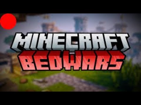 Minecraft bedwars with 20$ mice
