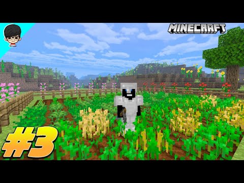 OUR FIRST FARM IN MINECRAFT | Minecraft Survival Episode 3