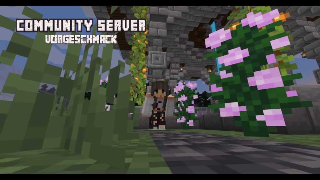 VIP Community Server - Was erwartet euch? Minecraft 1.19