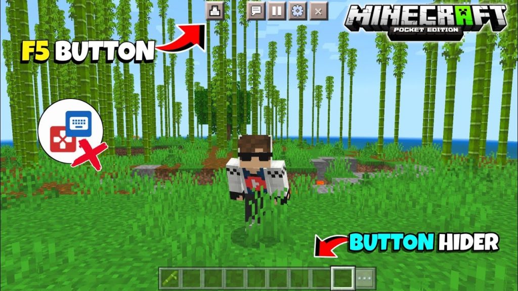 Button Hider & F5 Button Mod for  Minecraft PE || Minecraft 1.19 mods Hindi