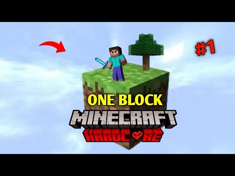 I Survived 100 Days One Block Only World in Minecraft Hardcore Survival (Hindi)